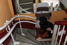 Treppenlift mit Plattform für Hundetransport